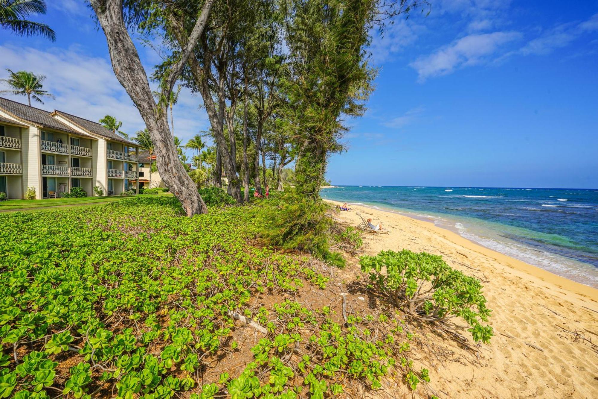 Islander On The Beach Kapa'a Rum bild